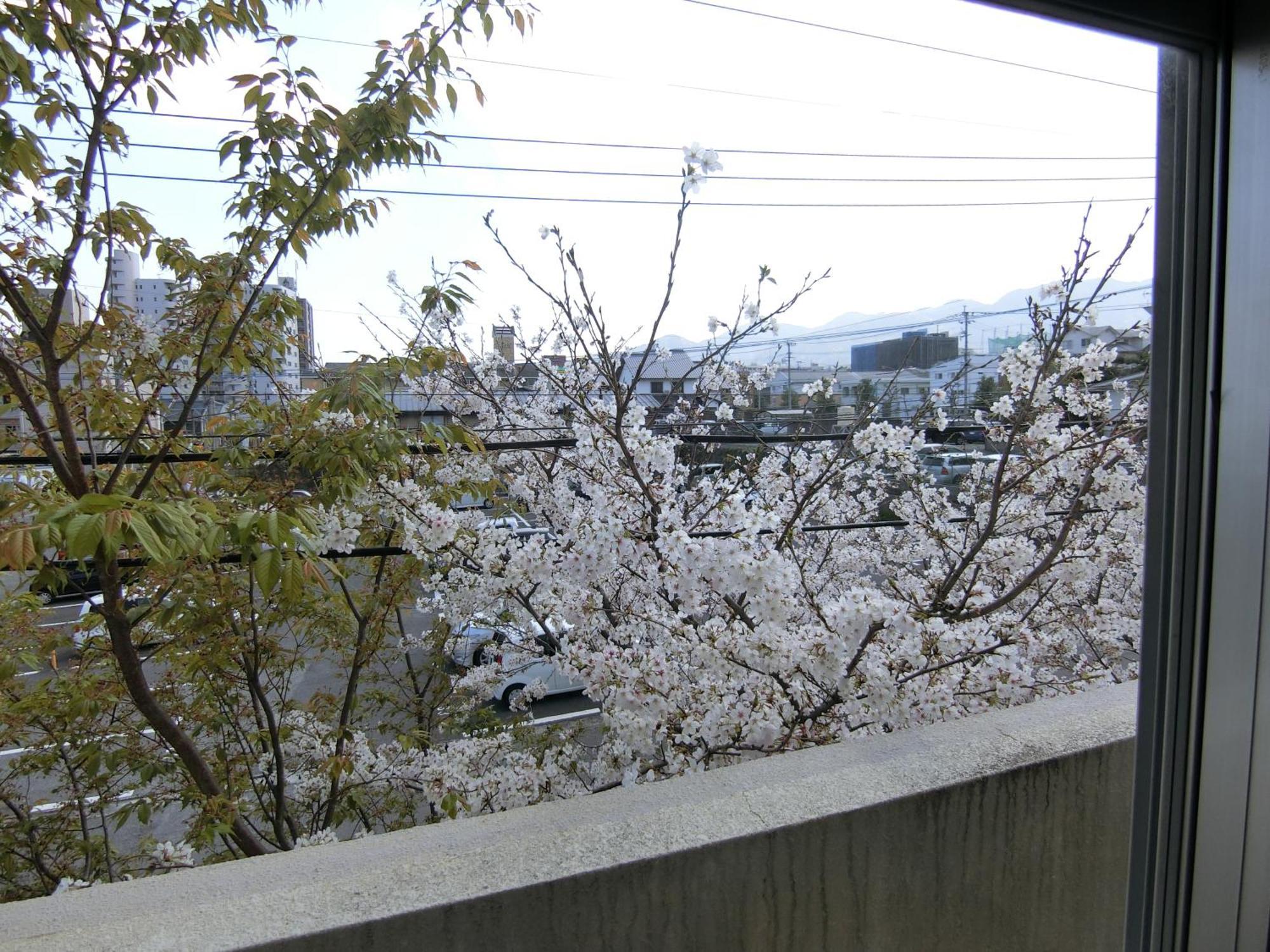 Simple Stay Beppu Kamer foto